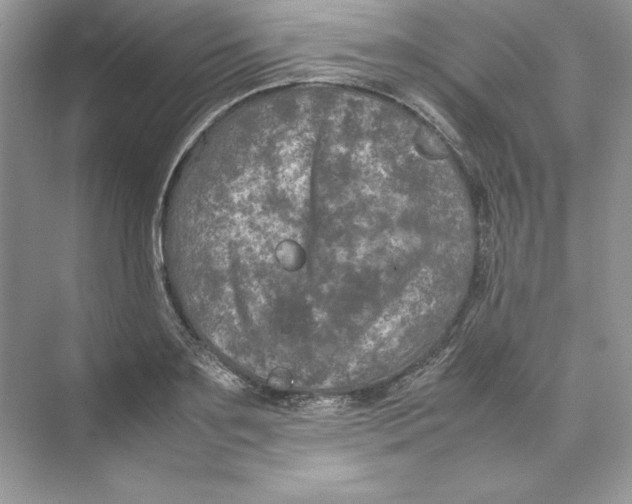 X0000074290891200609222306