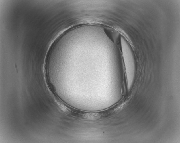 X0000074290893200609222306