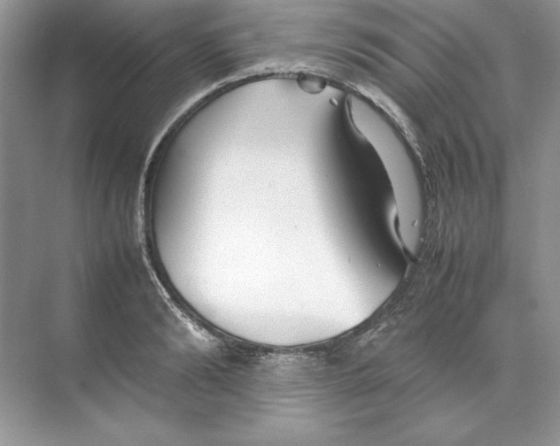 X0000074290894200609222306