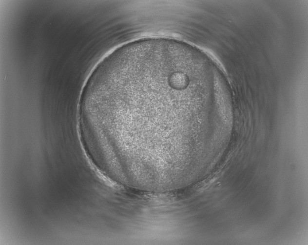 X0000074290895200609222306