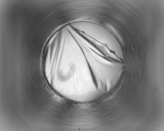 X0000074290900200609222306