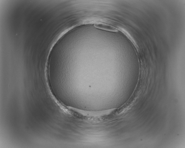 X0000074290901200609222306