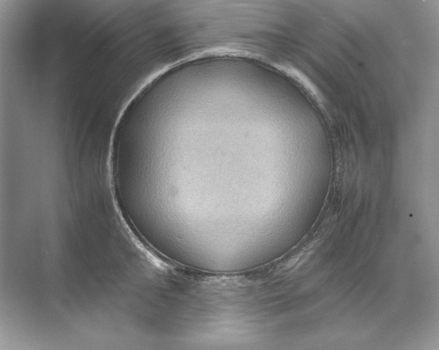 X0000074290902200609222306