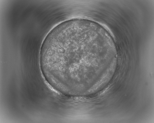 X0000074290903200609222306