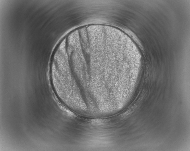 X0000074290904200609222306