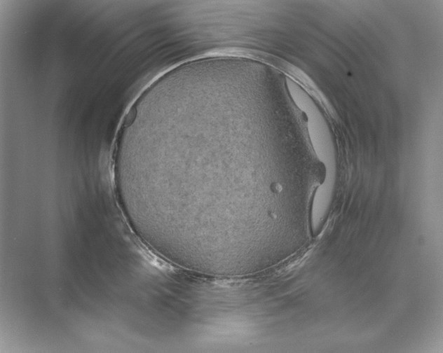 X0000074290908200609222306