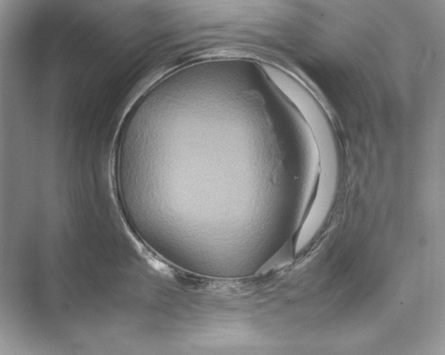 X0000074290909200609222306