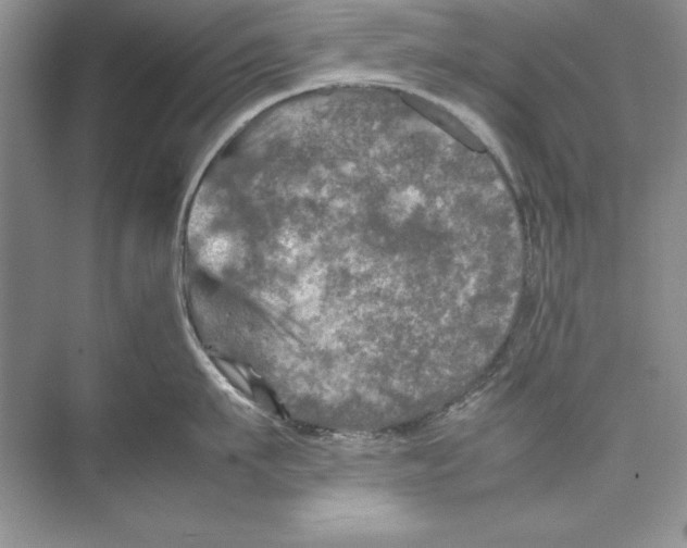 X0000074290911200609222306