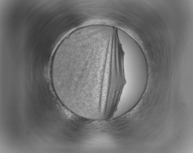 X0000074290912200609222306