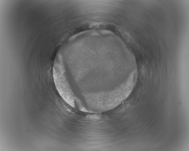 X0000074290914200609222305