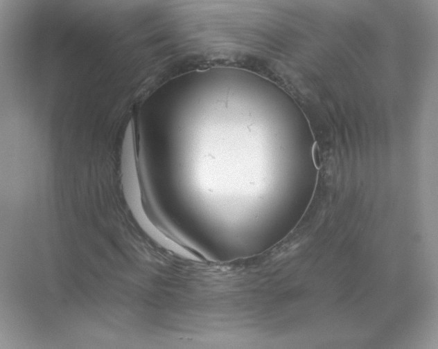 X0000074290916200609222305