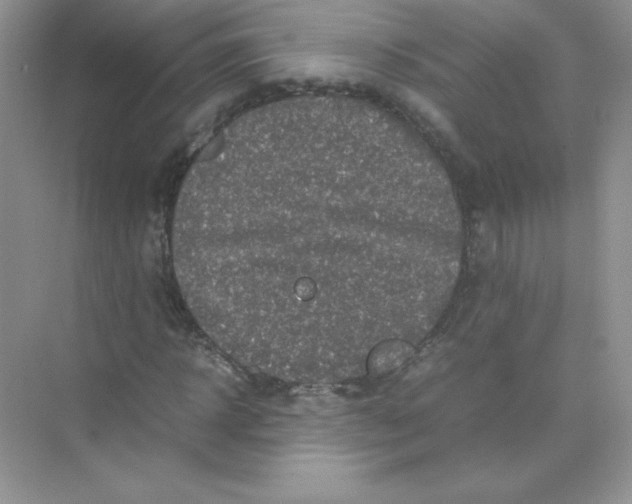 X0000074290918200609222305