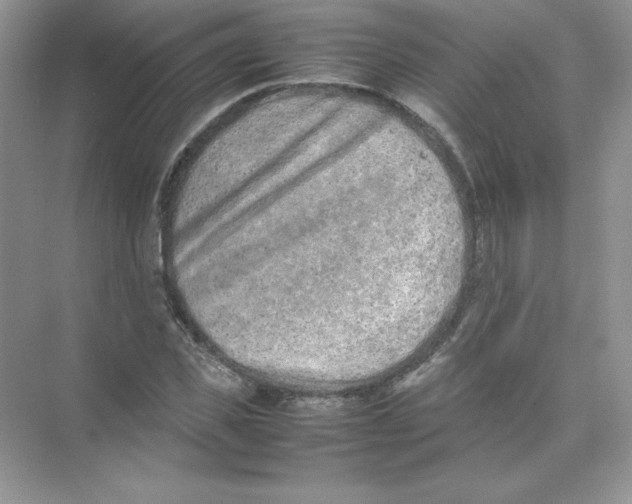 X0000074290925200609222305