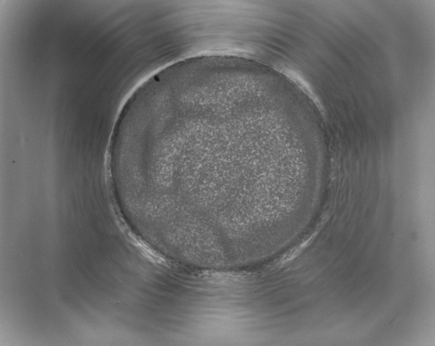 X0000074290928200609222305