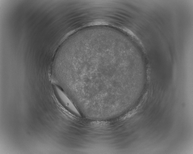 X0000074290929200609222305