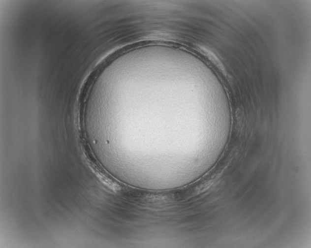 X0000074290931200609222305