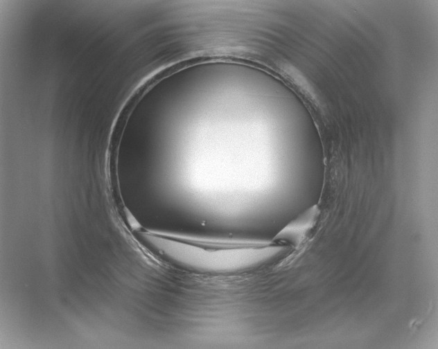 X0000074290932200609222305