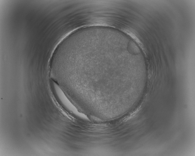 X0000074290933200609222305