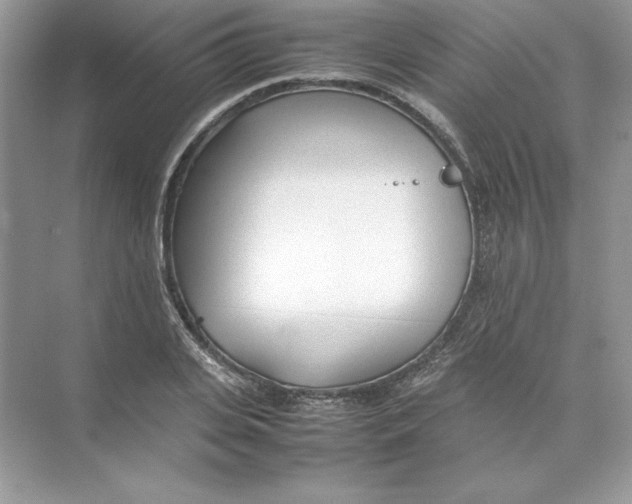 X0000074290935200609222305