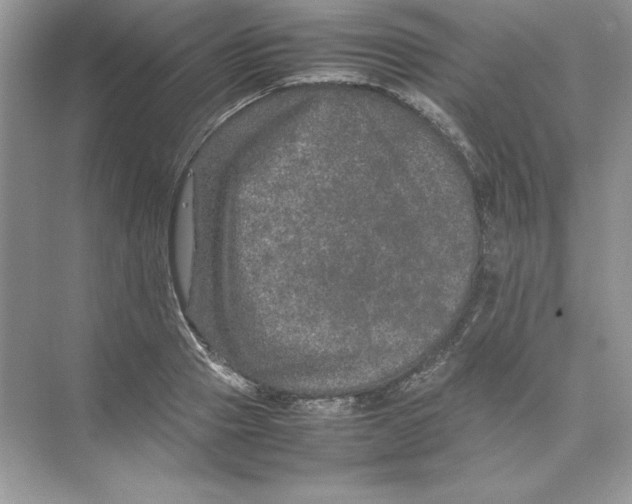 X0000074290937200609222305