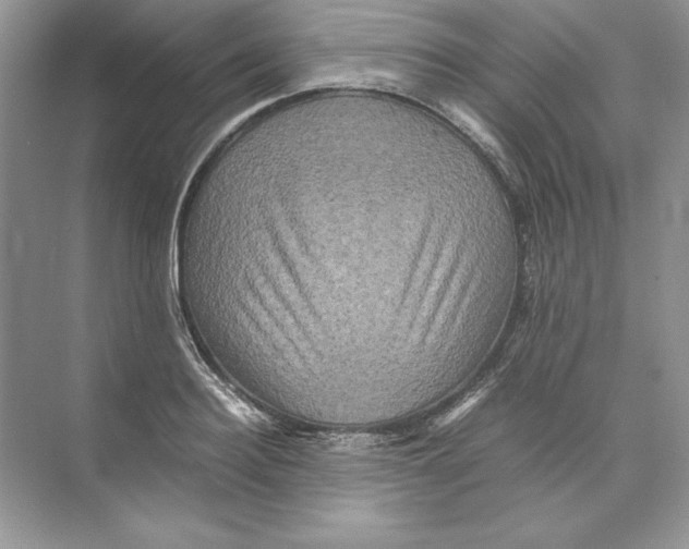 X0000074290940200609222305