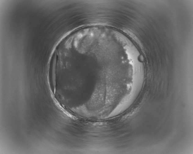 X0000074290941200609222305