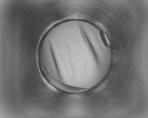 X0000074290942200609222305