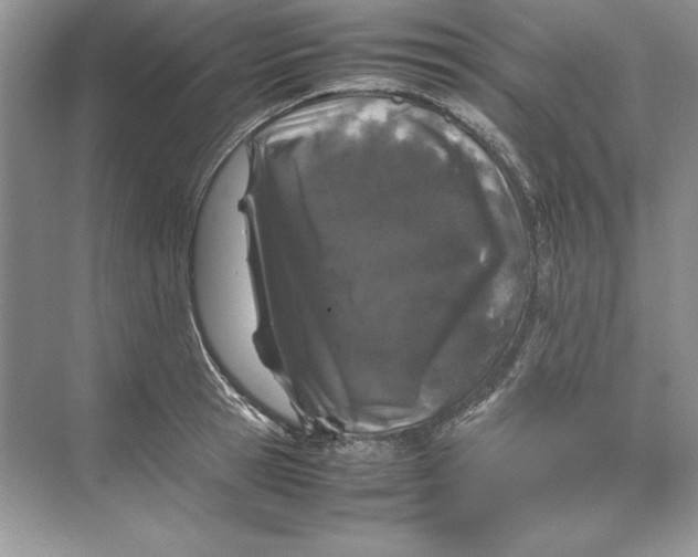 X0000074290945200609222305