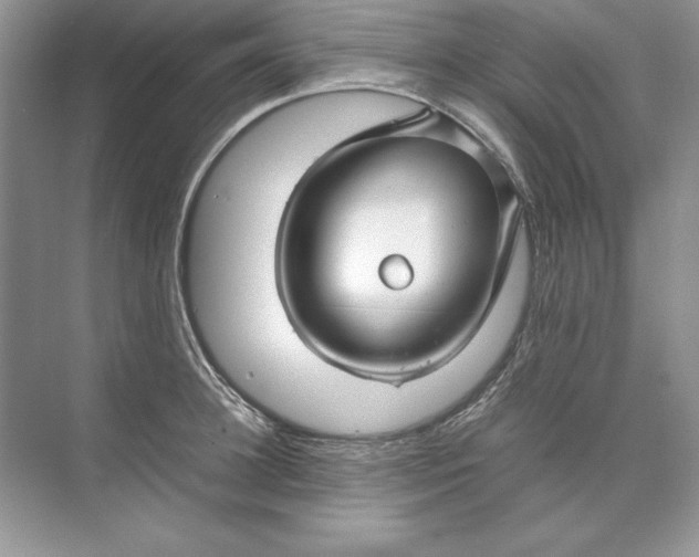 X0000074290948200609222305