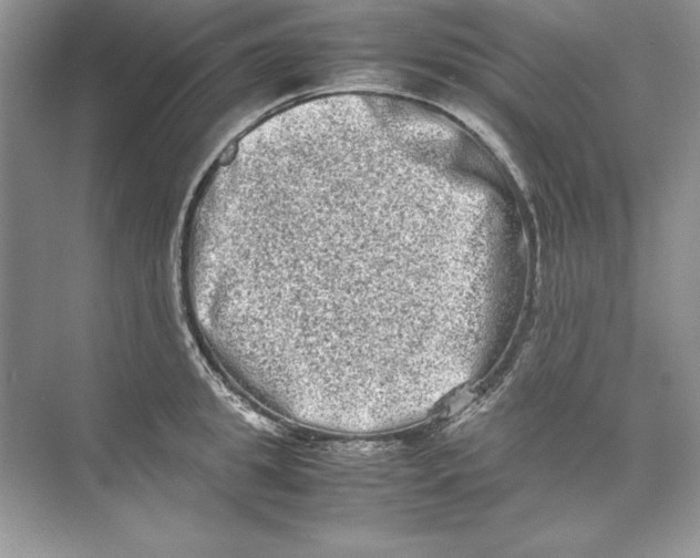 X0000074290949200609222305