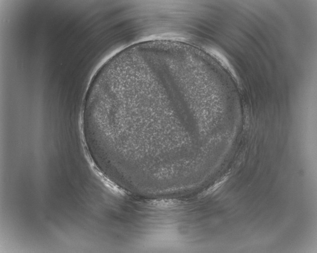 X0000074290952200609222305