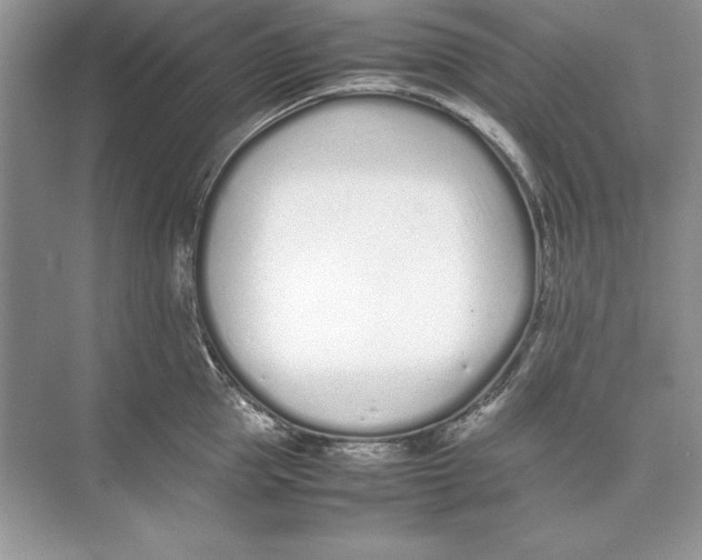 X0000074290953200609222305