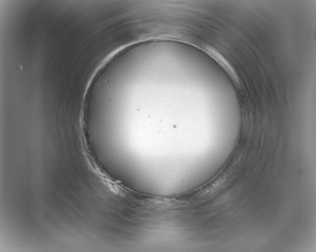 X0000074290956200609222306