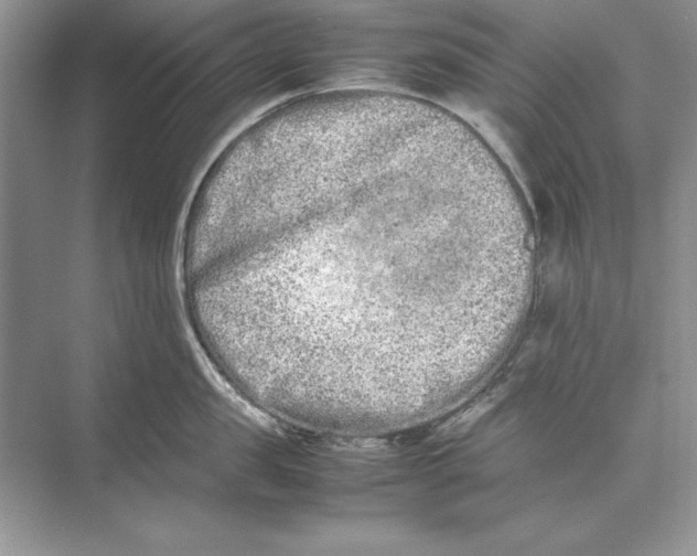 X0000074290957200609222306