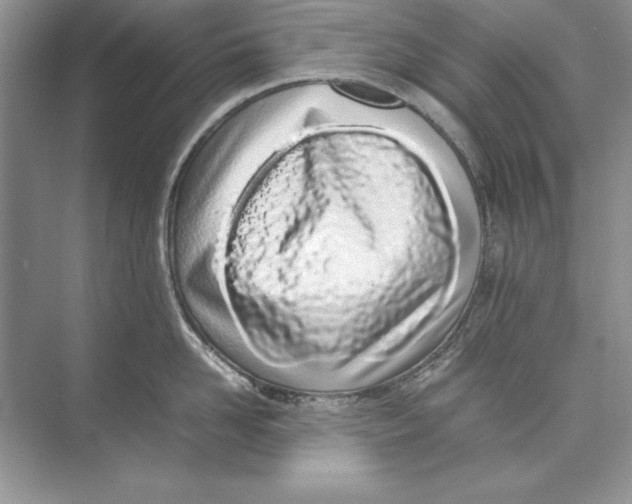 X0000074290958200609222306