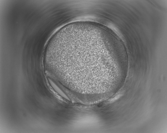 X0000074290960200609222306