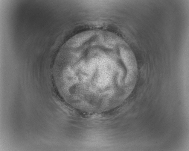 X0000074290961200609222305