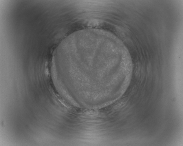 X0000074290962200609222305