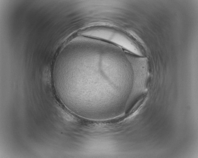 X0000074290969200609222305