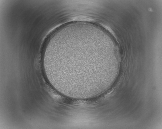 X0000074290971200609222305