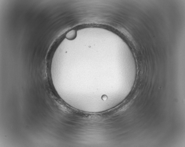 X0000074290974200609222305