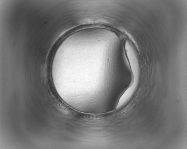 X0000074290975200609222305