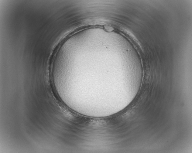 X0000074290978200609222305