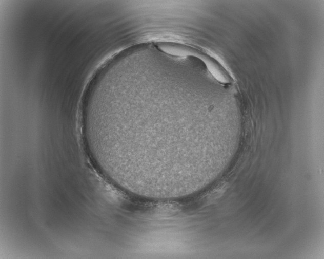 X0000074290979200609222304