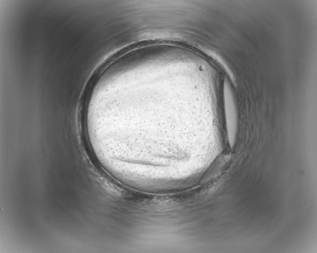 X0000074290983200609222304