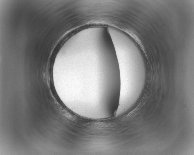 X0000074290984200609222304