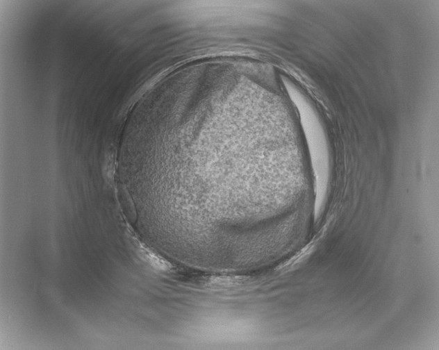 X0000074290985200609222304