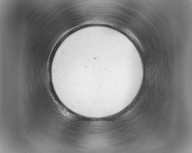 X0000074290988200609222304