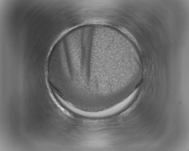 X0000074290989200609222304