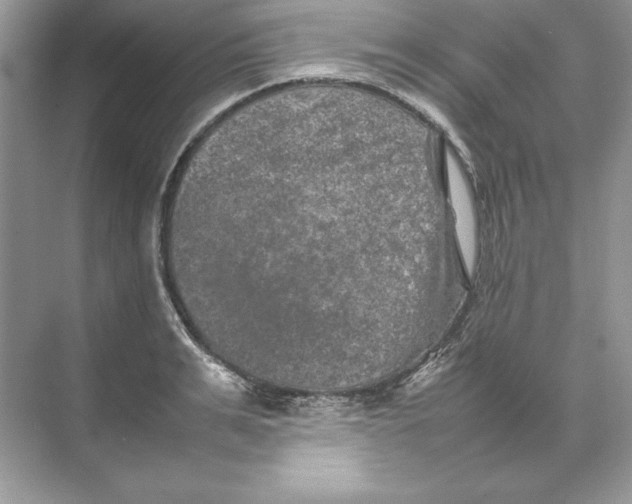 X0000074290991200609222304